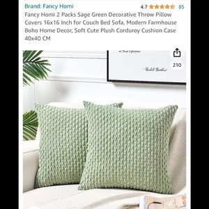 Two Throw pillow covers